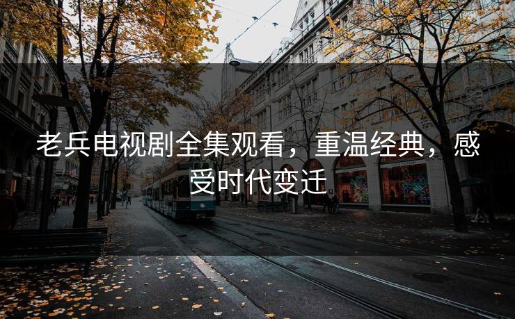 老兵电视剧全集观看，重温经典，感受时代变迁